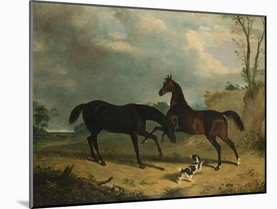 Hunters and a Spaniel in a Wooded Landscape, 1835-Henry Thomas Alken-Mounted Giclee Print