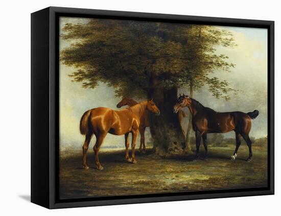 Hunters at Grass, 1801-Benjamin Marshall-Framed Premier Image Canvas