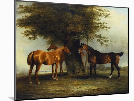 Hunters at Grass, 1801-Benjamin Marshall-Mounted Giclee Print