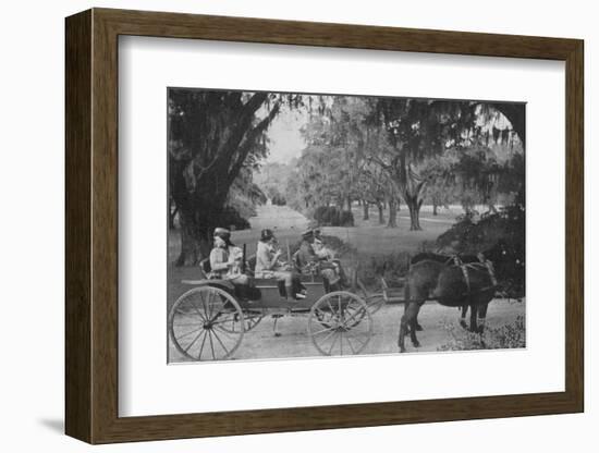 Hunters, Medway Plantation for the Annual Sidney Legendre Hunt, South Carolina, 1938-Alfred Eisenstaedt-Framed Photographic Print