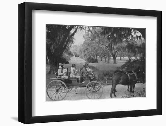 Hunters, Medway Plantation for the Annual Sidney Legendre Hunt, South Carolina, 1938-Alfred Eisenstaedt-Framed Photographic Print