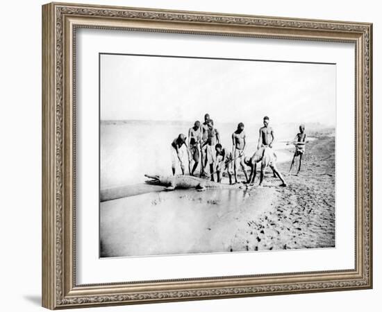 Hunting a Crocodile, Nubia, Egypt, 1887-Henri Bechard-Framed Giclee Print