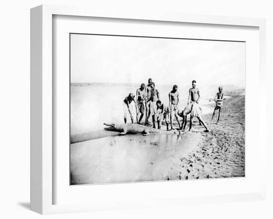 Hunting a Crocodile, Nubia, Egypt, 1887-Henri Bechard-Framed Giclee Print