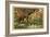 Hunting Birds of Paradise, Malaysia-null-Framed Giclee Print