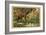 Hunting Birds of Paradise, Malaysia-null-Framed Giclee Print