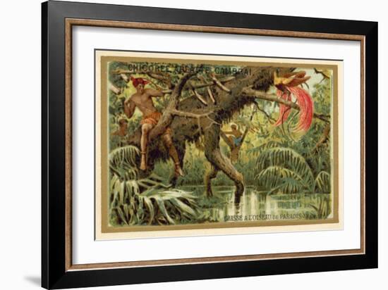 Hunting Birds of Paradise, Malaysia-null-Framed Giclee Print