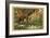 Hunting Birds of Paradise, Malaysia-null-Framed Giclee Print