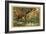 Hunting Birds of Paradise, Malaysia-null-Framed Giclee Print