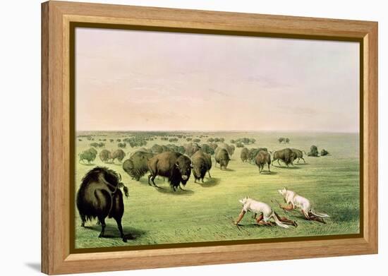 Hunting Buffalo Camouflaged with Wolf Skins, circa 1832-George Catlin-Framed Premier Image Canvas