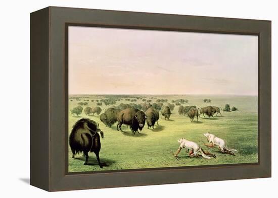 Hunting Buffalo Camouflaged with Wolf Skins, circa 1832-George Catlin-Framed Premier Image Canvas