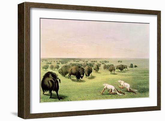 Hunting Buffalo Camouflaged with Wolf Skins, circa 1832-George Catlin-Framed Giclee Print