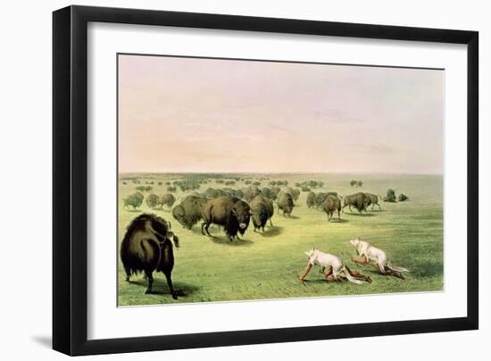 Hunting Buffalo Camouflaged with Wolf Skins, circa 1832-George Catlin-Framed Giclee Print