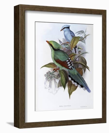 Hunting Cissa-John Gould-Framed Giclee Print