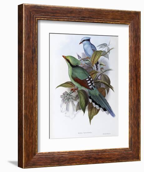 Hunting Cissa-John Gould-Framed Giclee Print