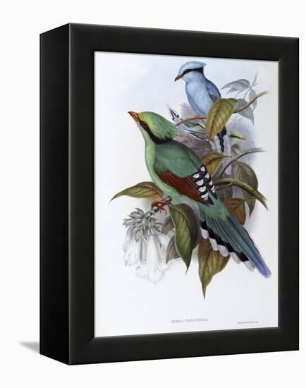 Hunting Cissa-John Gould-Framed Premier Image Canvas