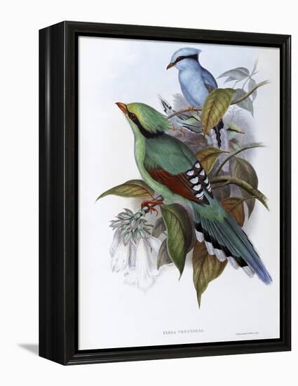 Hunting Cissa-John Gould-Framed Premier Image Canvas