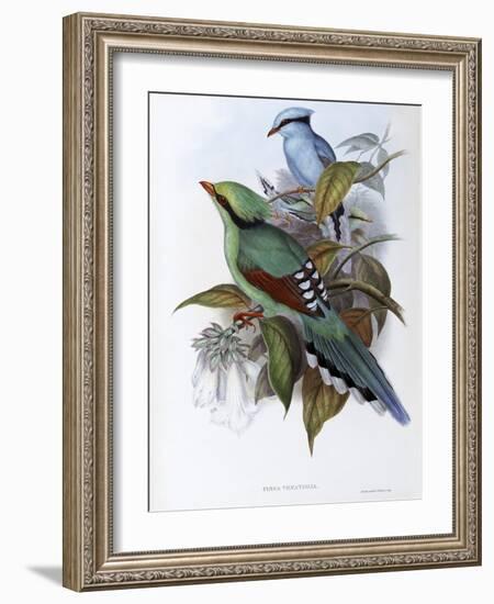 Hunting Cissa-John Gould-Framed Giclee Print