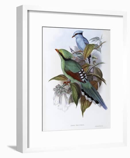 Hunting Cissa-John Gould-Framed Giclee Print