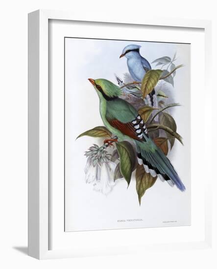 Hunting Cissa-John Gould-Framed Giclee Print