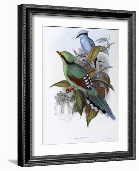 Hunting Cissa-John Gould-Framed Giclee Print