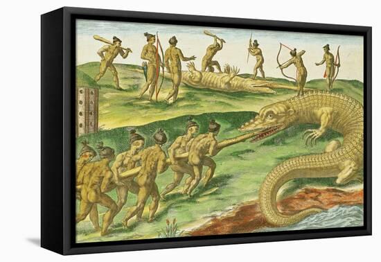 Hunting Crocodiles, from "Brevis Narratio" 1563-Jacques Le Moyne-Framed Premier Image Canvas