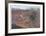 Hunting Dog-Bill Elliot-Framed Collectable Print