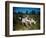 Hunting Dogs on Point-null-Framed Photographic Print