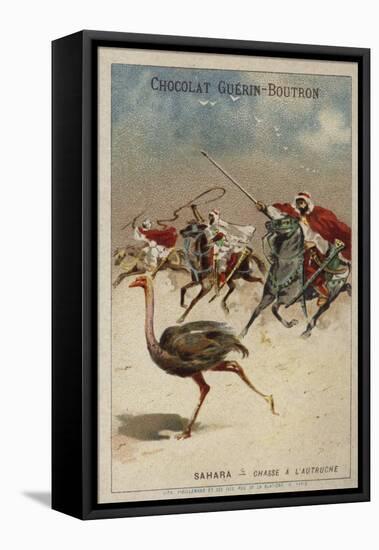 Hunting Ostrich in the Sahara-null-Framed Premier Image Canvas