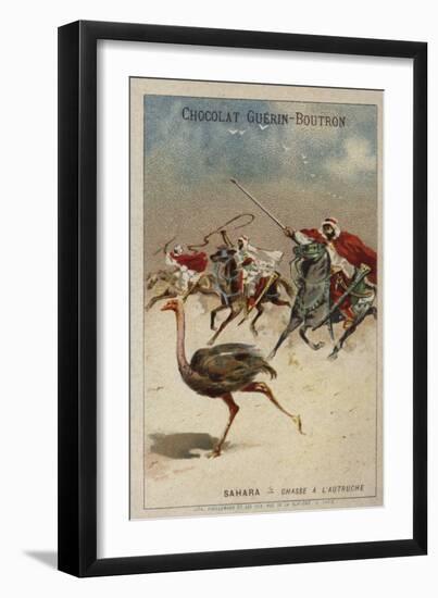 Hunting Ostrich in the Sahara-null-Framed Giclee Print