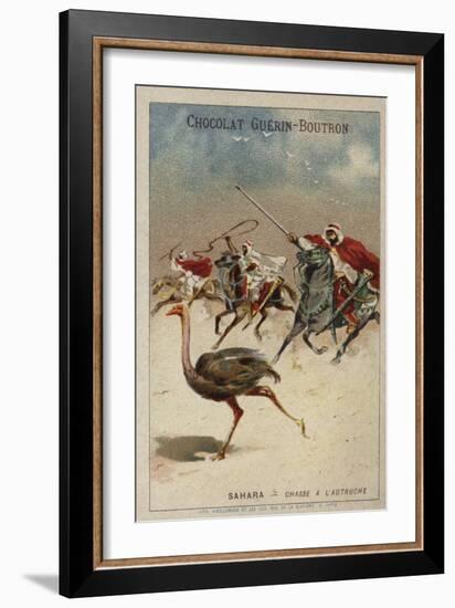 Hunting Ostrich in the Sahara-null-Framed Giclee Print