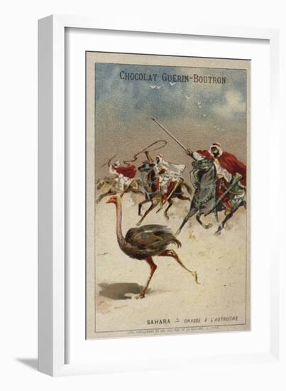 Hunting Ostrich in the Sahara-null-Framed Giclee Print