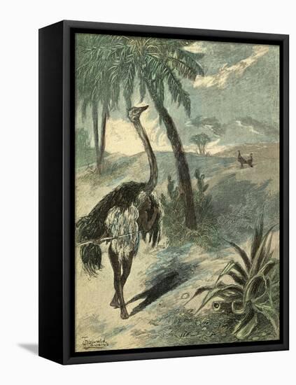 Hunting Ostrich-Oswald Levens-Framed Stretched Canvas