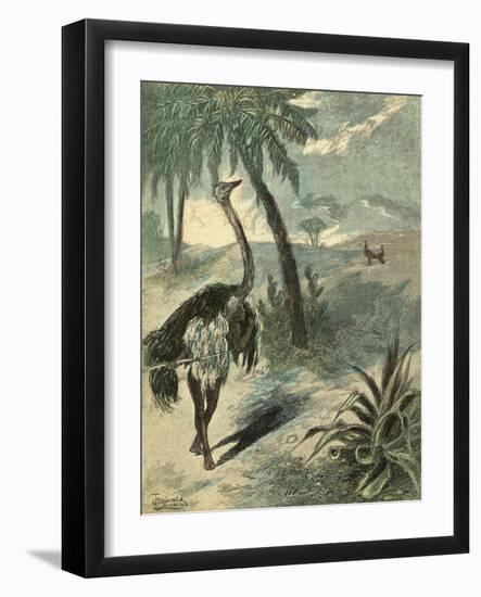 Hunting Ostrich-Oswald Levens-Framed Art Print