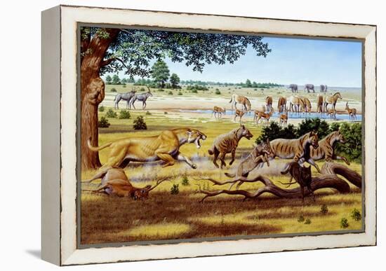 Hunting Sabre-toothed Cat-Mauricio Anton-Framed Premier Image Canvas