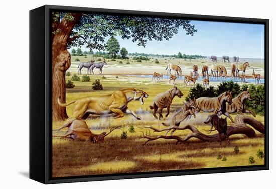 Hunting Sabre-toothed Cat-Mauricio Anton-Framed Premier Image Canvas