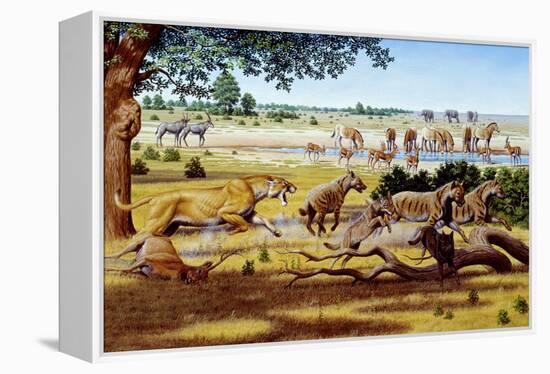 Hunting Sabre-toothed Cat-Mauricio Anton-Framed Premier Image Canvas