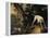 Hunting Scene-Alexandre-Francois Desportes-Framed Premier Image Canvas