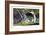 Hunting the Marten-Cat-Henry Thomas Alken-Framed Art Print