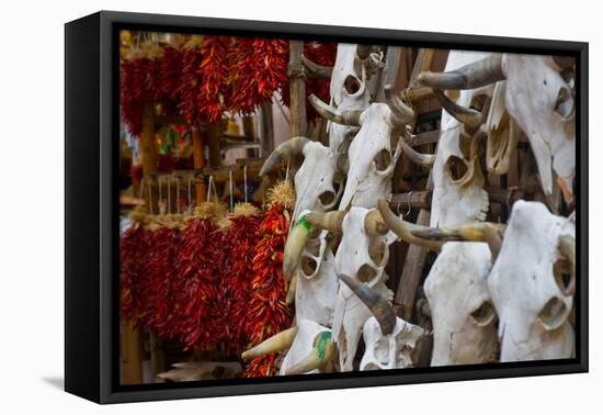 Hunting trophies and chili peppers on market stall, Santa Fe, New Mexico, USA-null-Framed Premier Image Canvas
