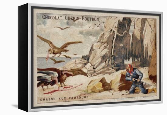 Hunting Vultures-null-Framed Premier Image Canvas