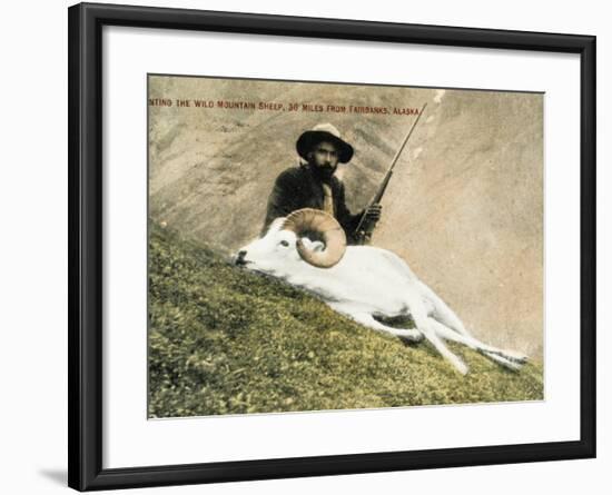 Hunting Wild Big Horn Sheep in Alaska-null-Framed Photographic Print
