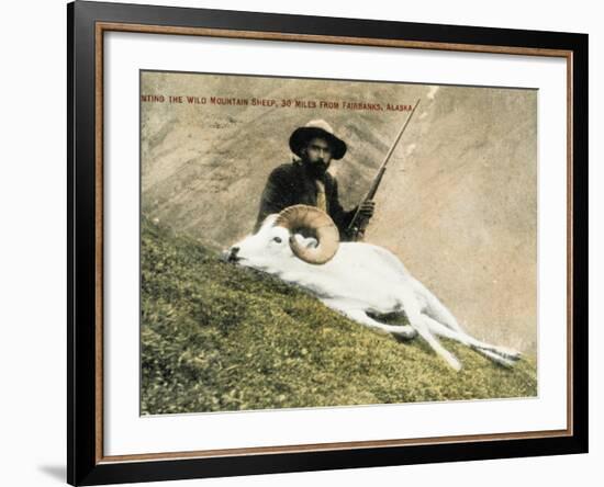 Hunting Wild Big Horn Sheep in Alaska-null-Framed Photographic Print