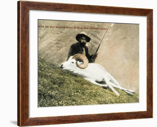 Hunting Wild Big Horn Sheep in Alaska-null-Framed Photographic Print