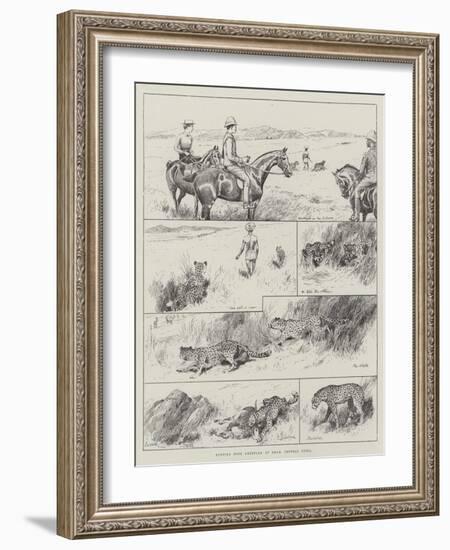 Hunting with Cheetahs at Dhar, Central India-null-Framed Giclee Print