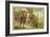 Hunting with Falcons, Compiegne, France-null-Framed Giclee Print