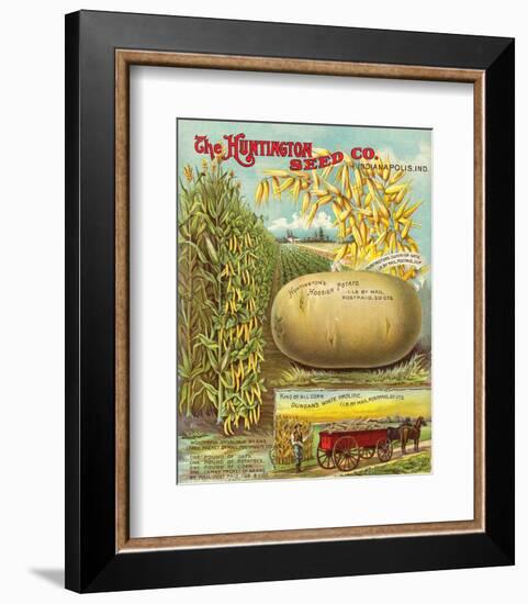 Huntington Seed Indianapolis-null-Framed Art Print