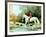 Huntsman Crossing Stream-Frank Wootton-Framed Limited Edition