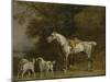 Huntsman with a Grey Hunter and Two Foxhounds: Details from the Goodwood 'Hunting' Picture-George Stubbs-Mounted Giclee Print
