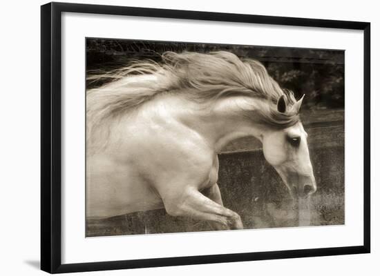 Hurricane 2-Susan Friedman-Framed Giclee Print