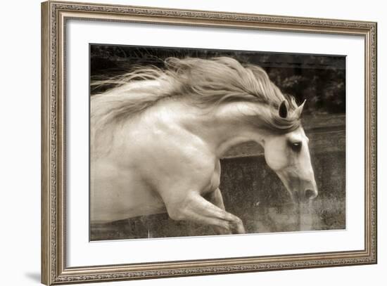 Hurricane 2-Susan Friedman-Framed Giclee Print